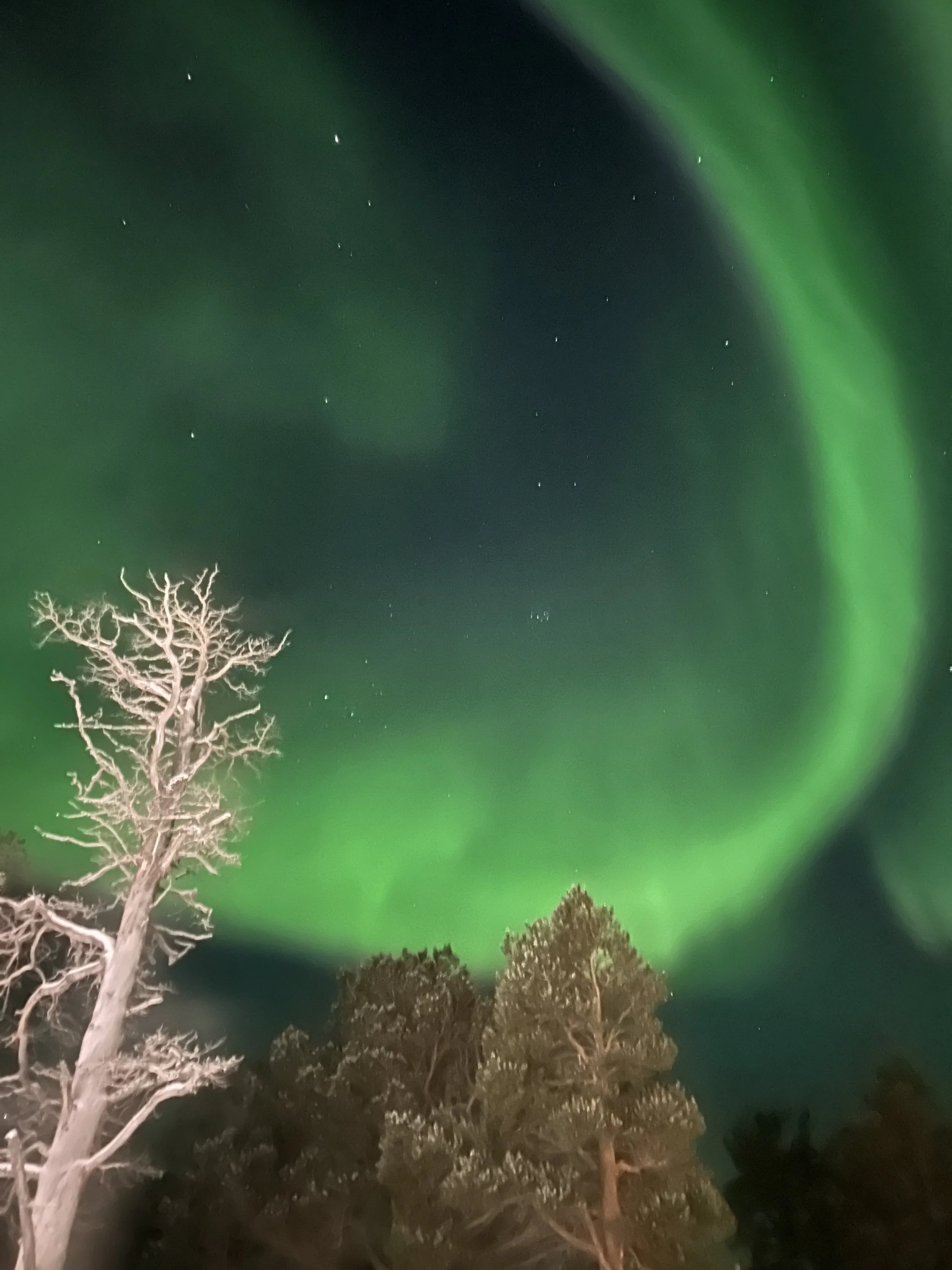 Photo 16-02-2026, 19 10 33.jpg