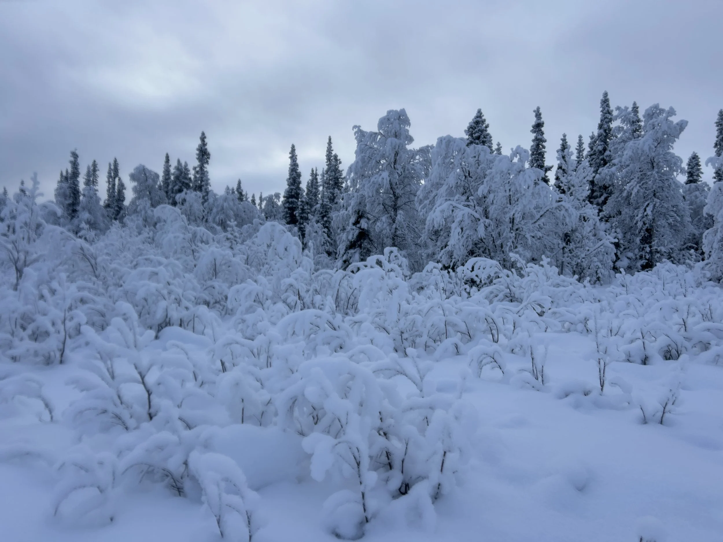 Photo 18-02-2026, 09 36 54.jpg