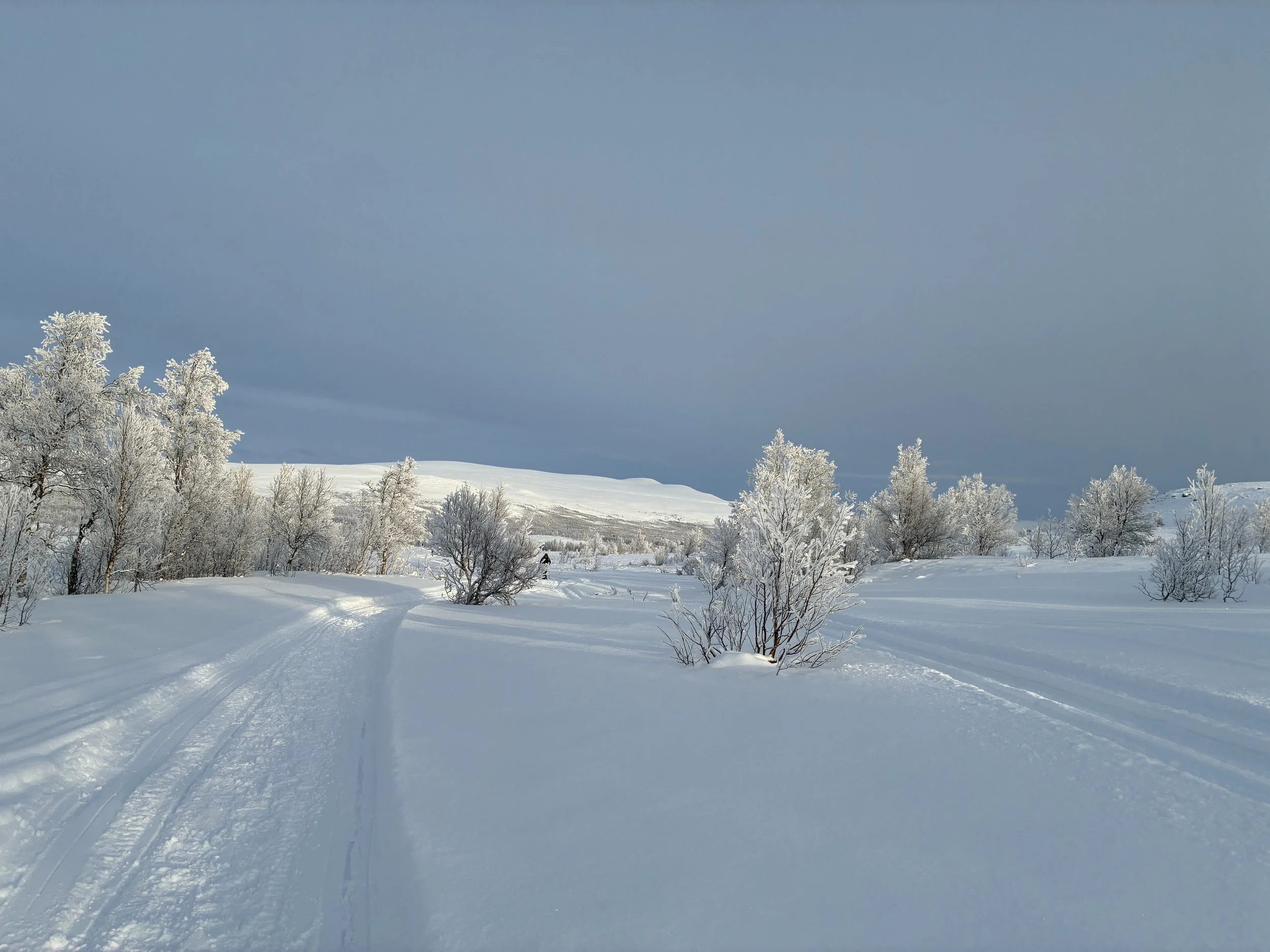 Photo 18-02-2026, 14 33 50.jpg