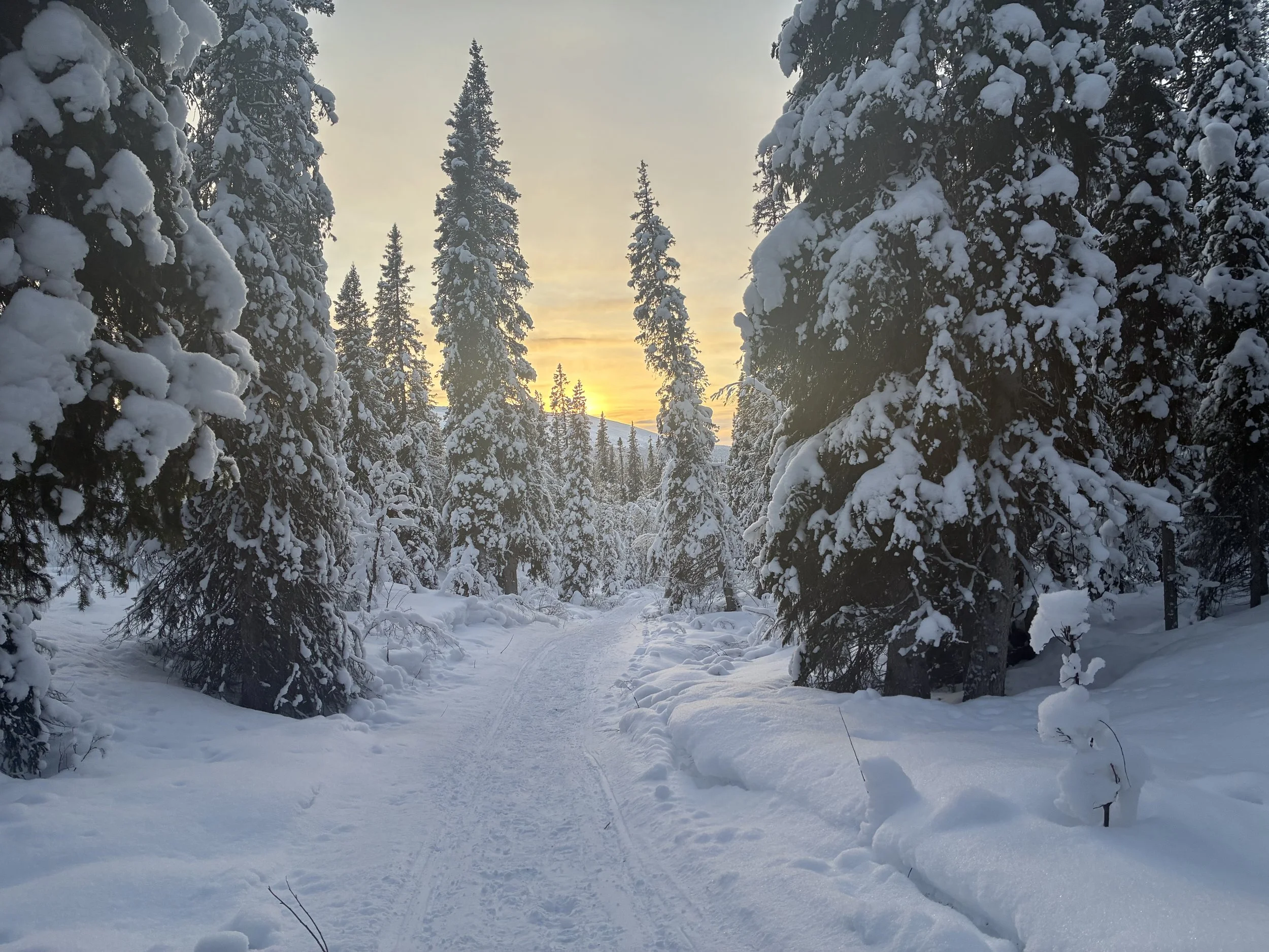 Photo 18-02-2026, 15 29 39.jpg