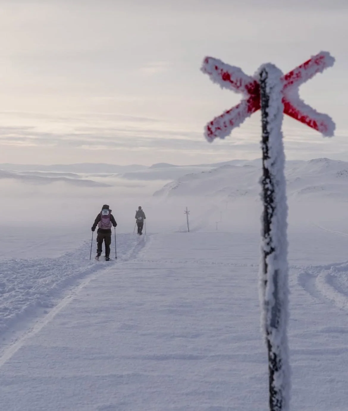 Photo 21-02-2026, 22 08 19.jpg