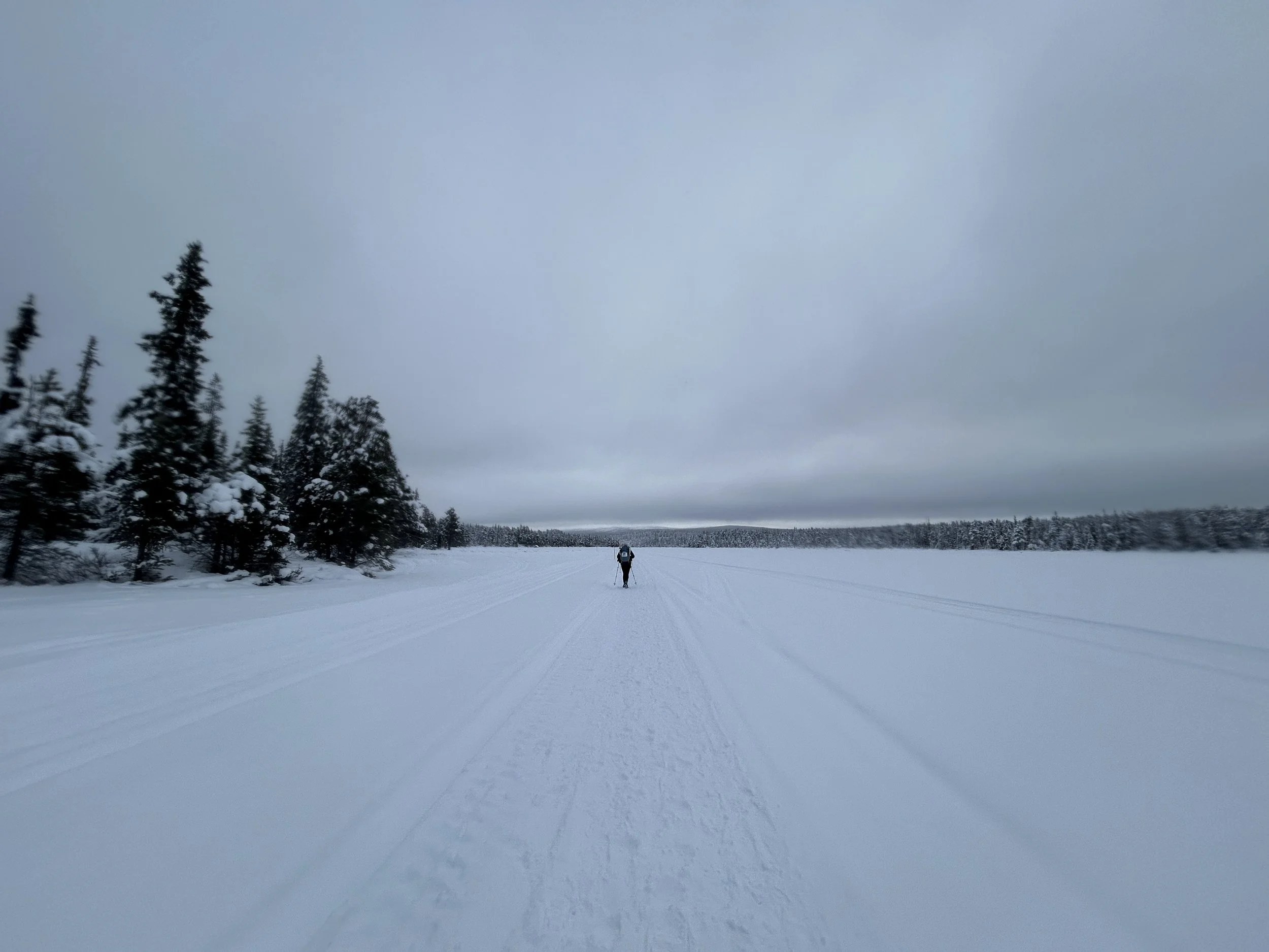 Photo 19-02-2026, 11 34 29.jpg