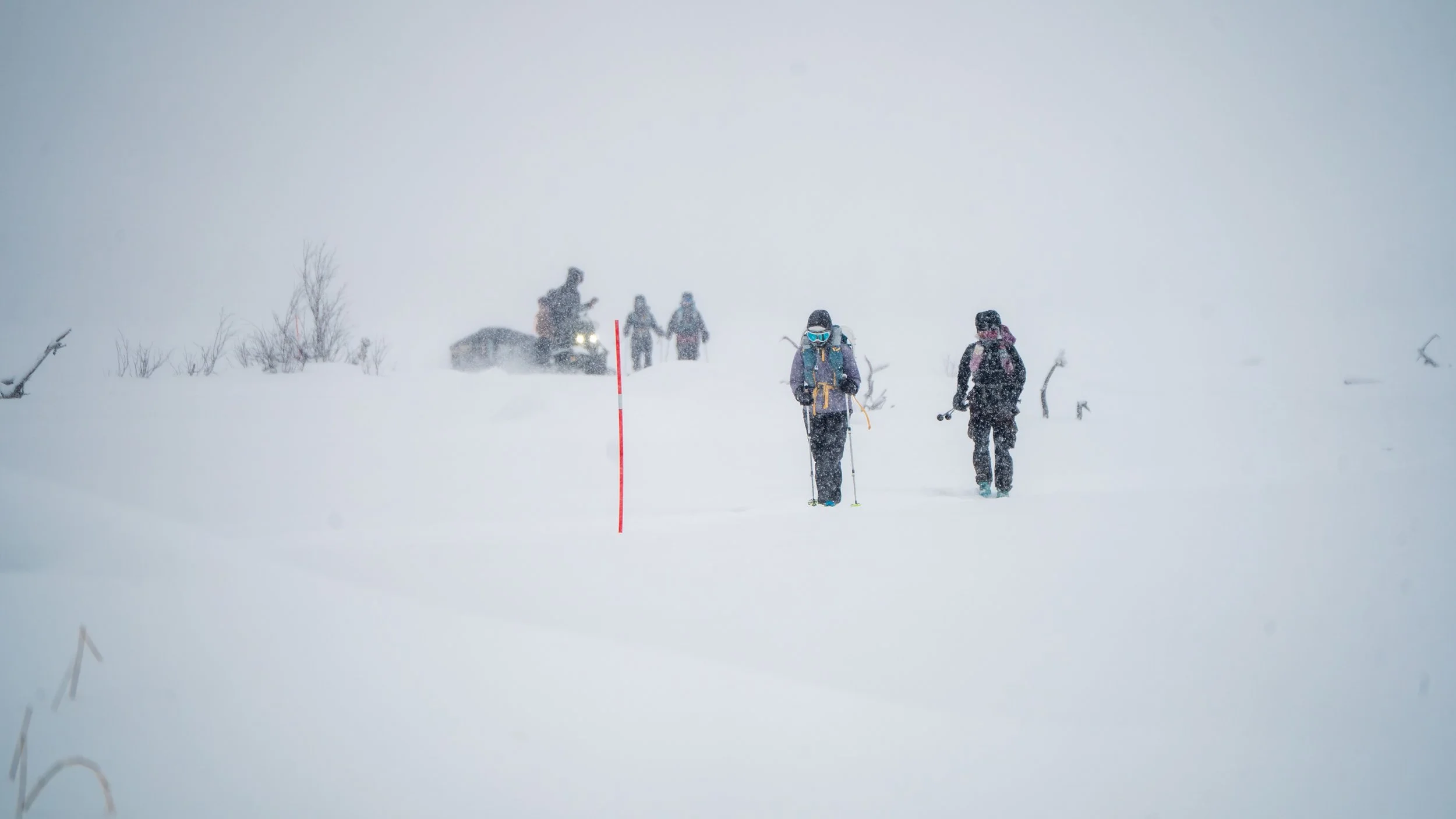 Photo 17-11-2018, 01 56 03.jpg