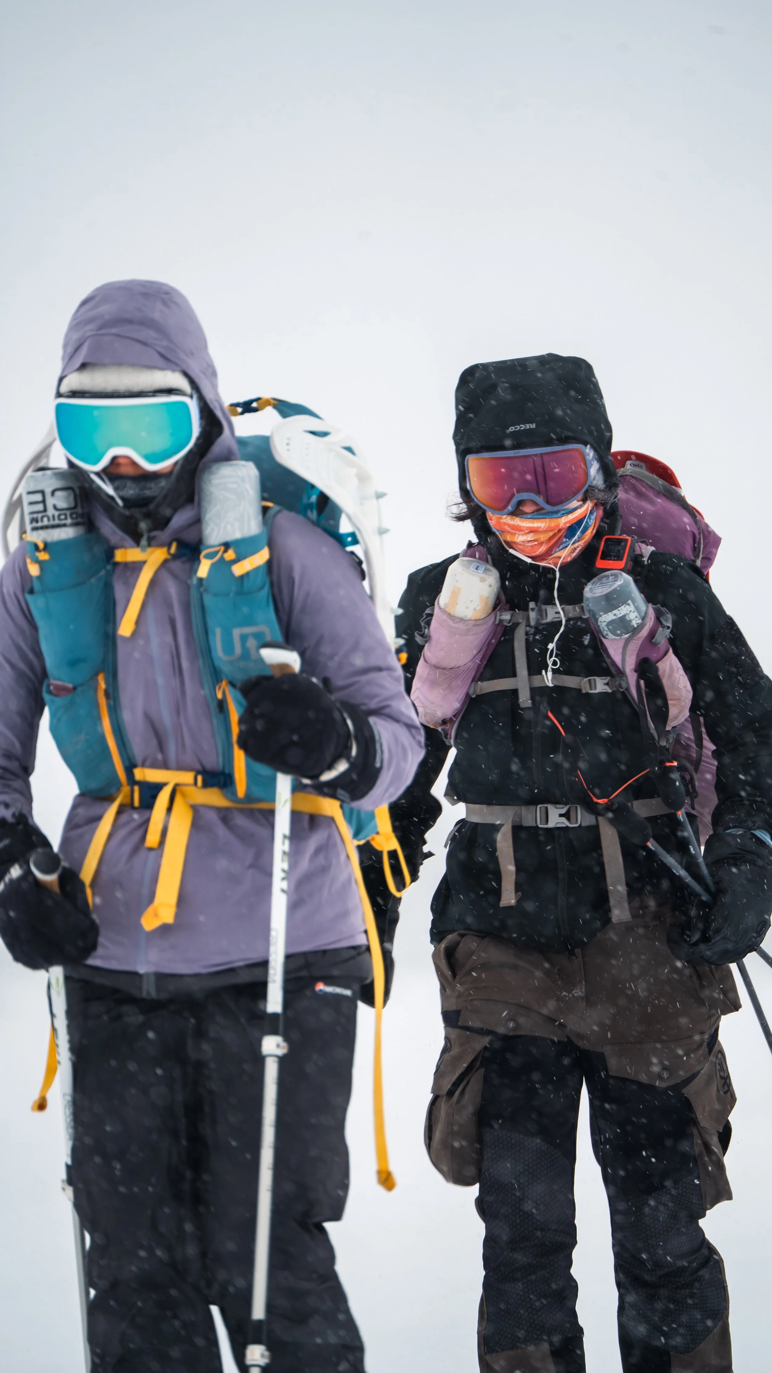 Photo 17-11-2018, 02 19 57.jpg