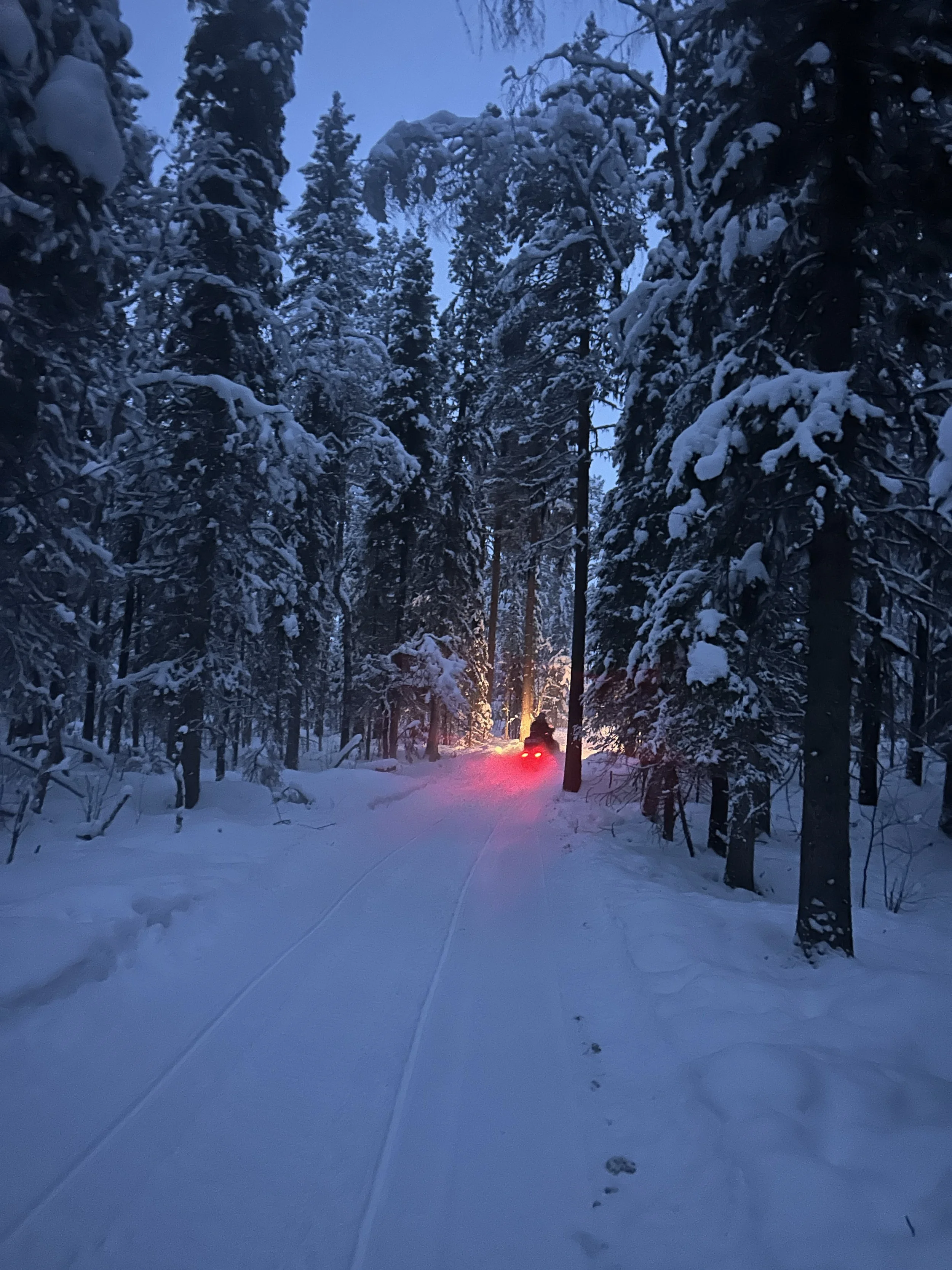 Photo 20-02-2026, 17 03 07.jpg