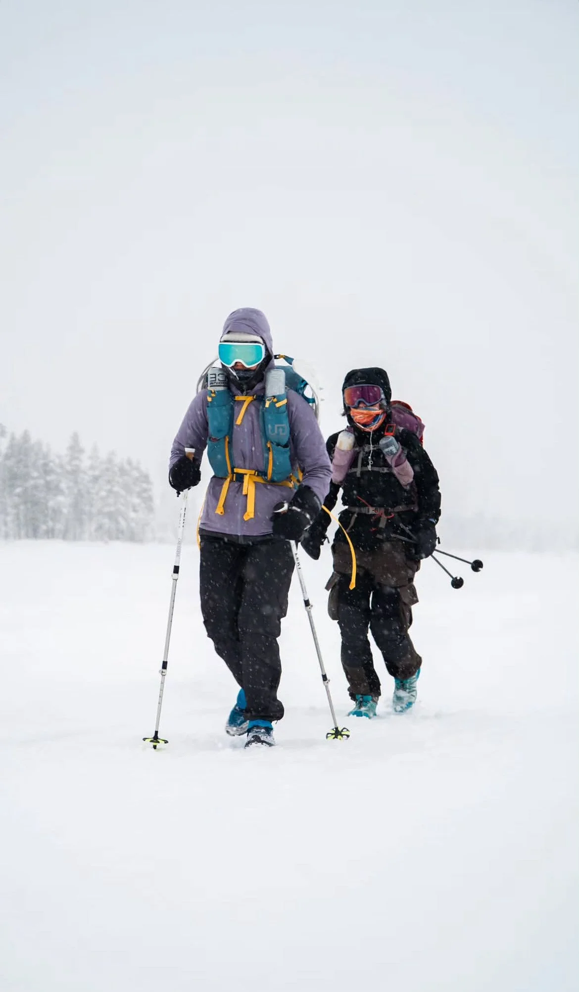 Photo 21-02-2026, 00 01 12.jpg