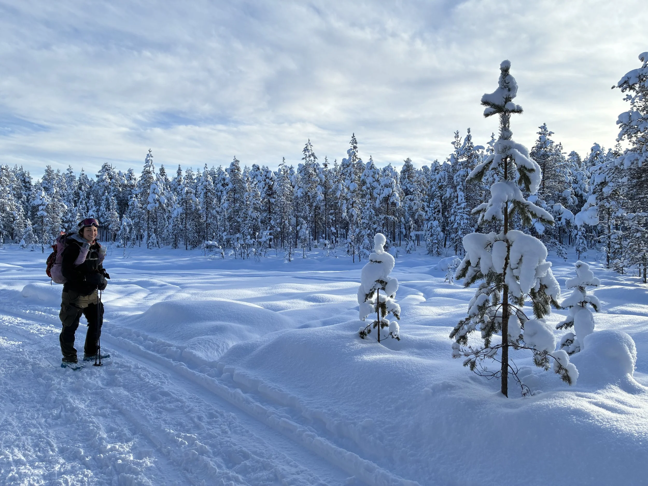 Photo 21-02-2026, 12 25 26.jpg