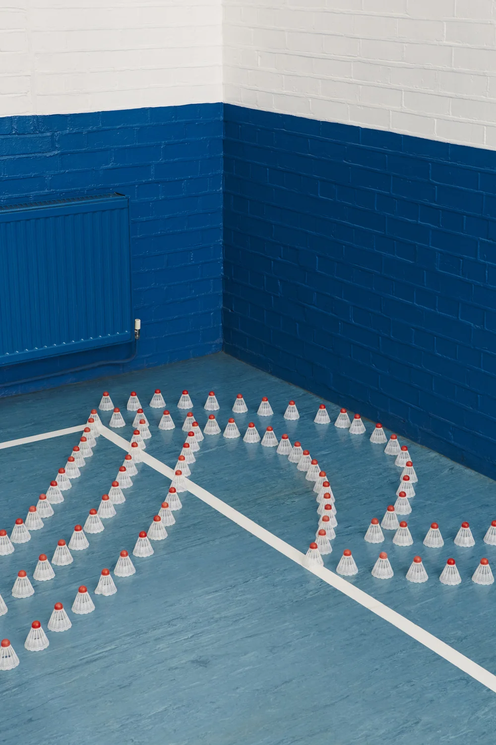 hannah-slaney-photography_still-life-shuttlecocks-blue-wall-sportshall-2918.jpg