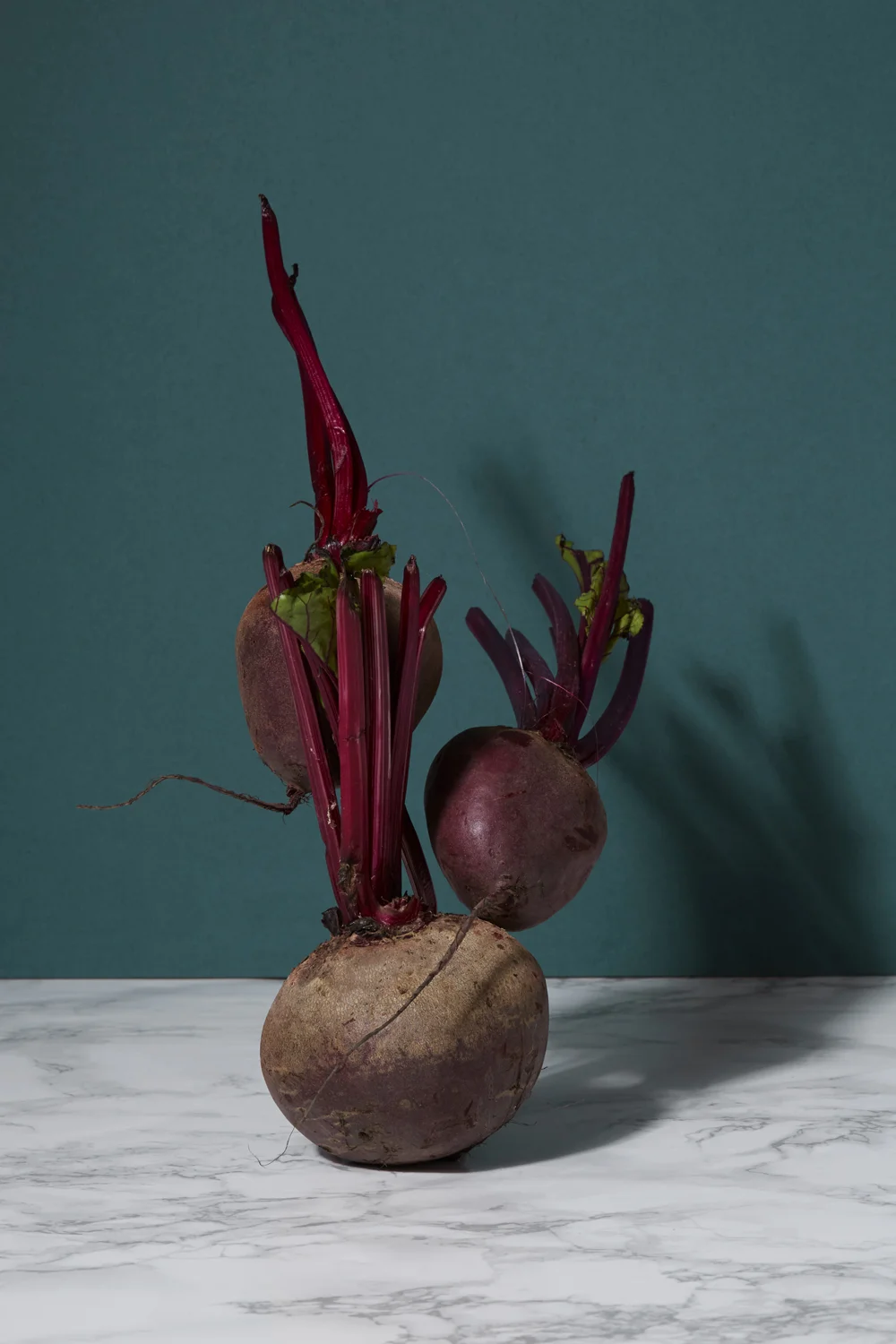 hannah-slaney-photography-still-life-food-sculptures-beetroot-4156.jpg