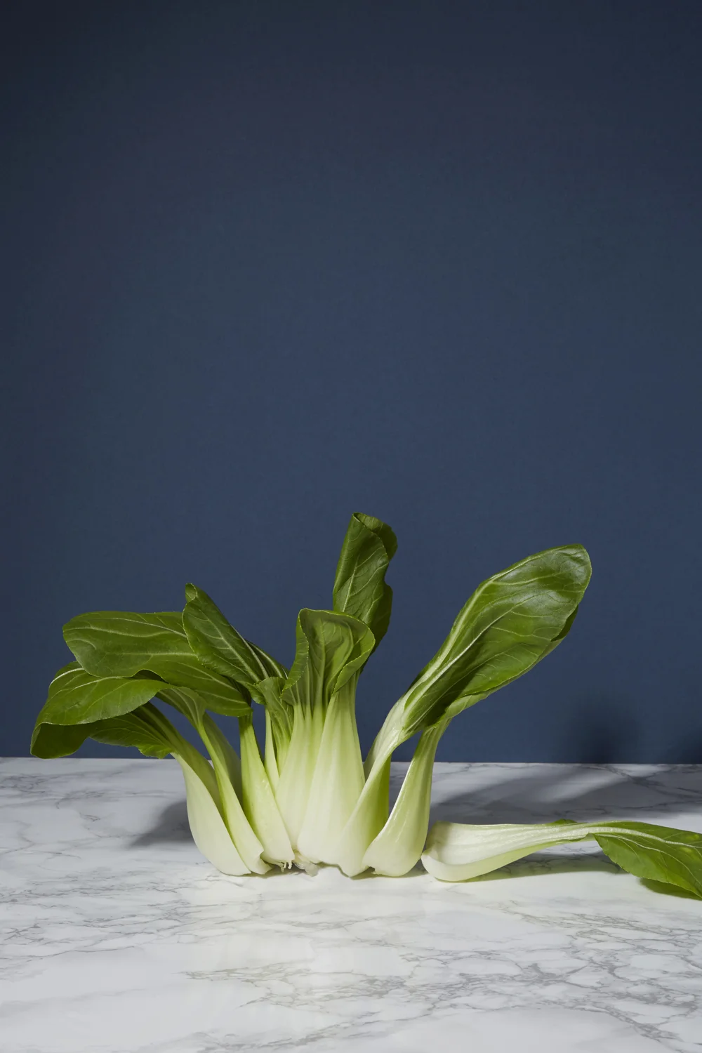 hannah-slaney-photography-still-life-food-sculptures-pak-choi-marble-4132.jpg