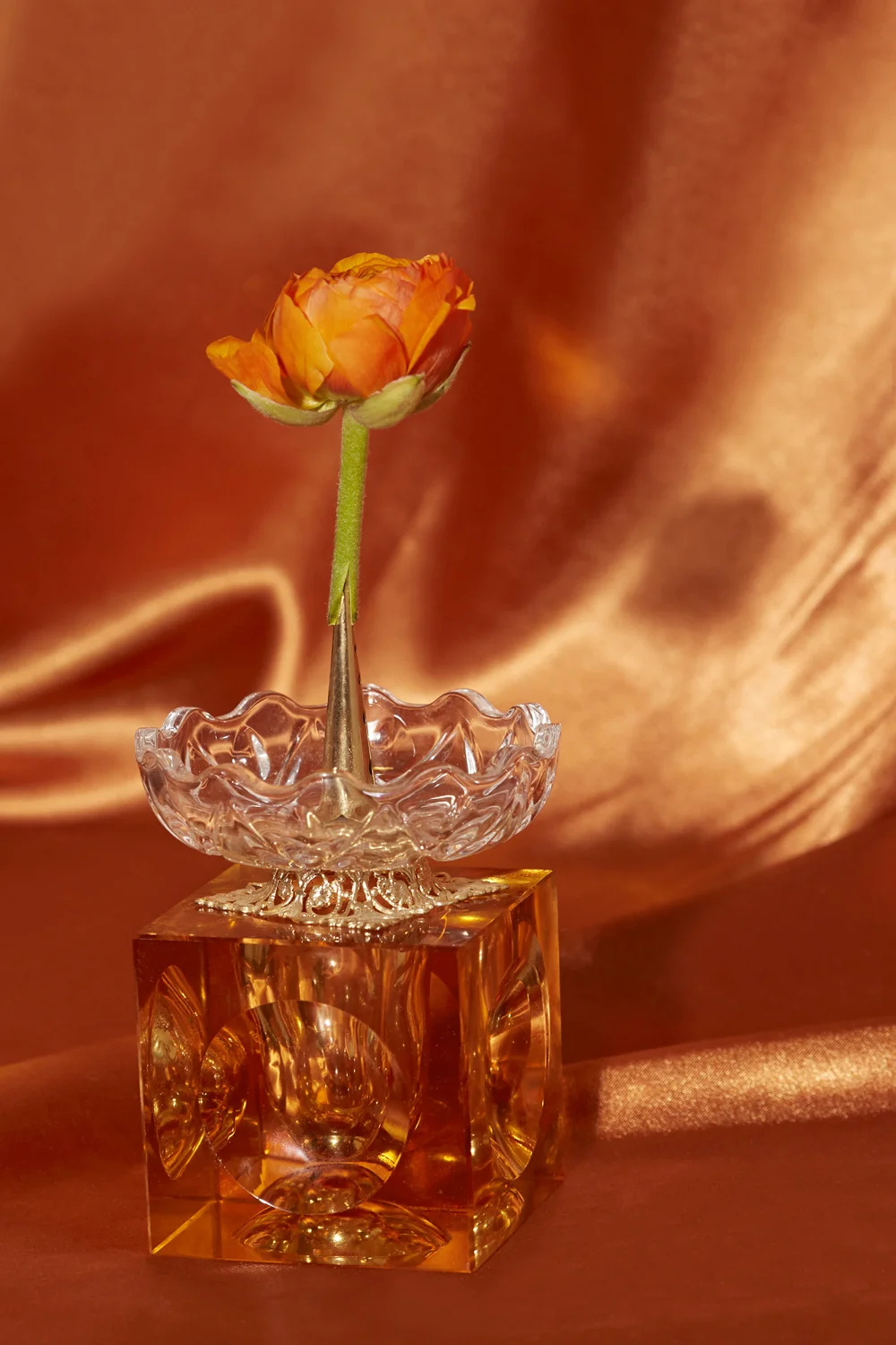 hannah-slaney-still-lfe-collective-frustrations-flowers_2459.jpg