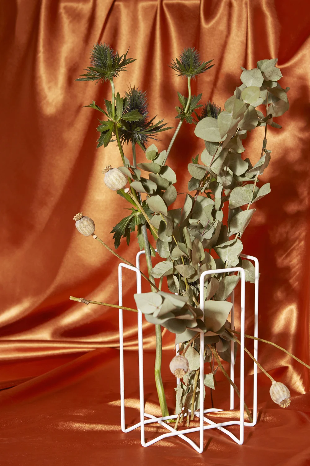 hannah-slaney-still-lfe-collective-frustrations-flowers-2452.jpg