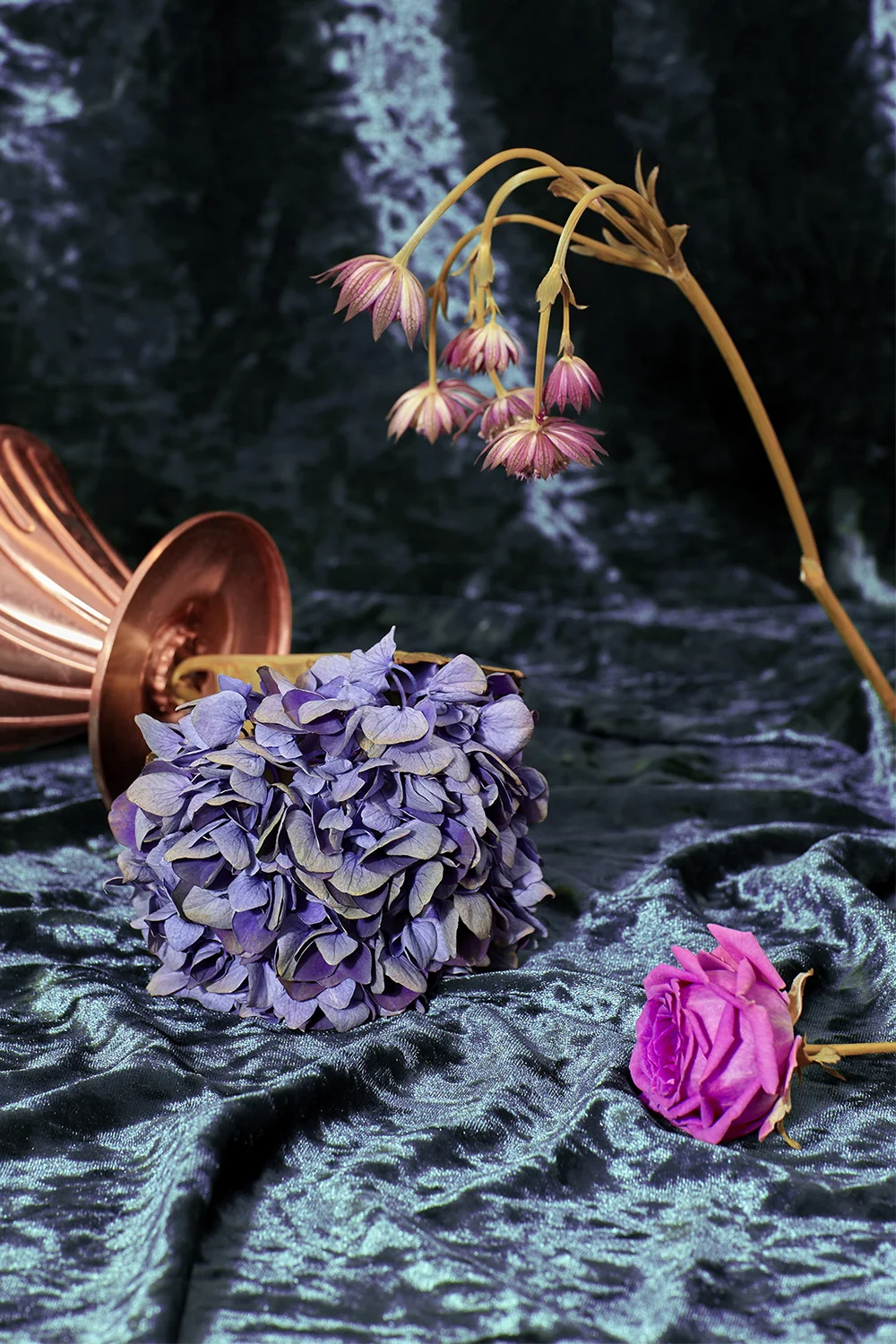 hannah-slaney-photography_still-life-The_Rage_Days0129.jpg