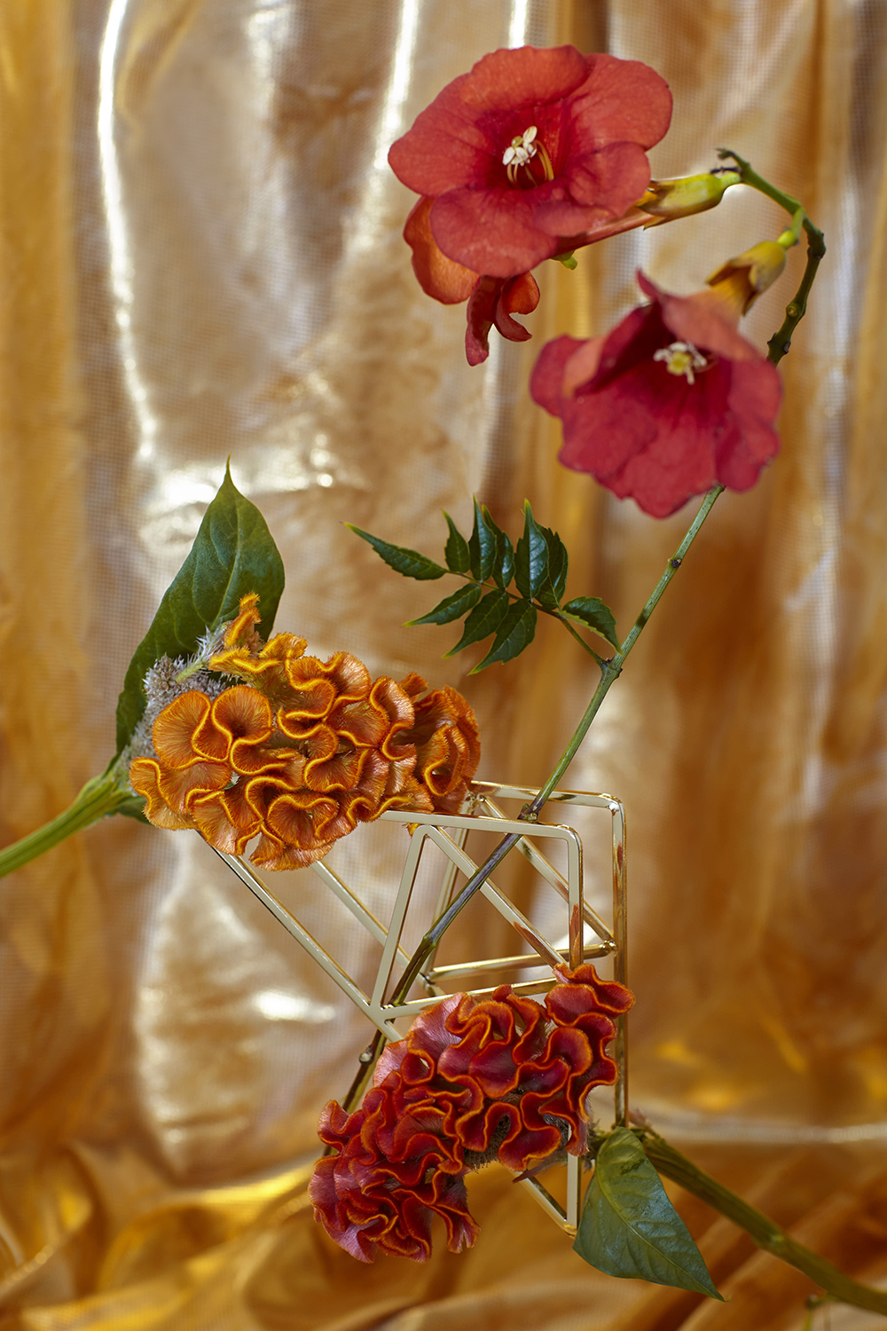hannah-slaney-photography_still-life-The_Rage_Days-0129.jpg