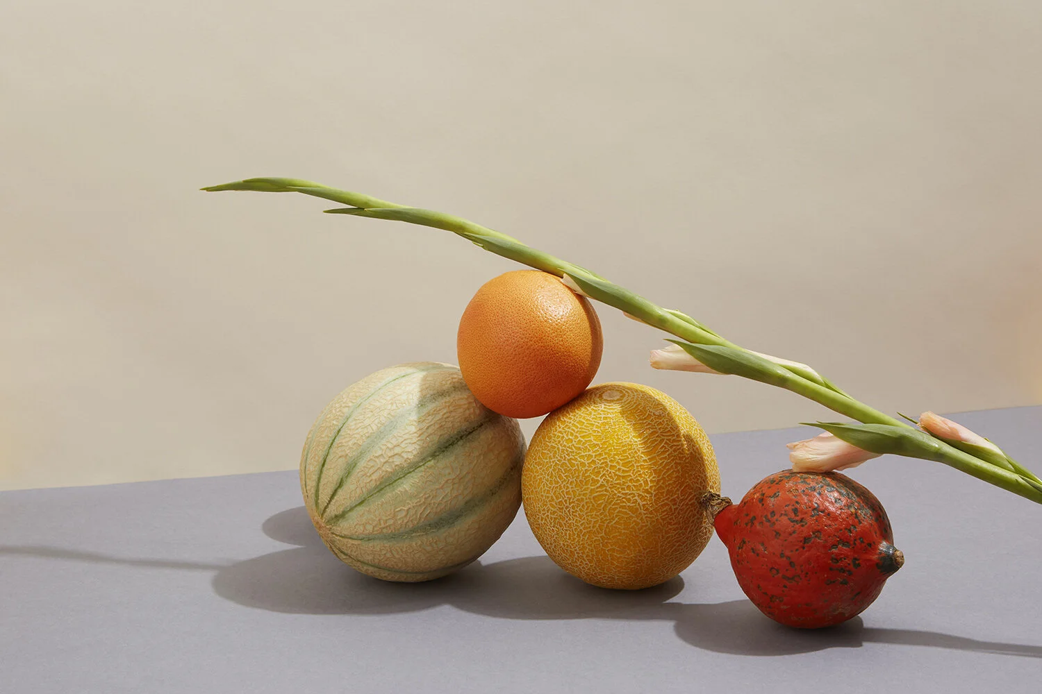 hannah-slaney-still-life-15_10_19_Magnets_tests9983 FINAL 1500px.jpg