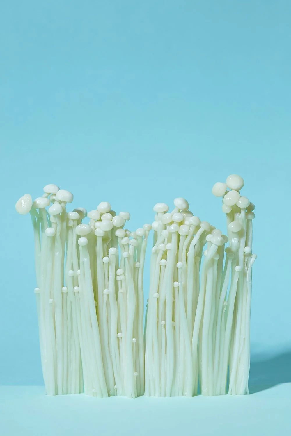 20_03_23_Mushrooms3326.jpg