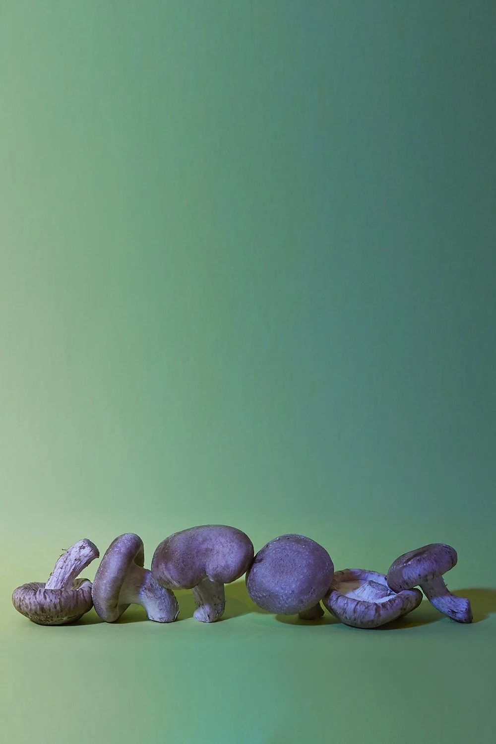 20_03_23_Mushrooms3455.jpg