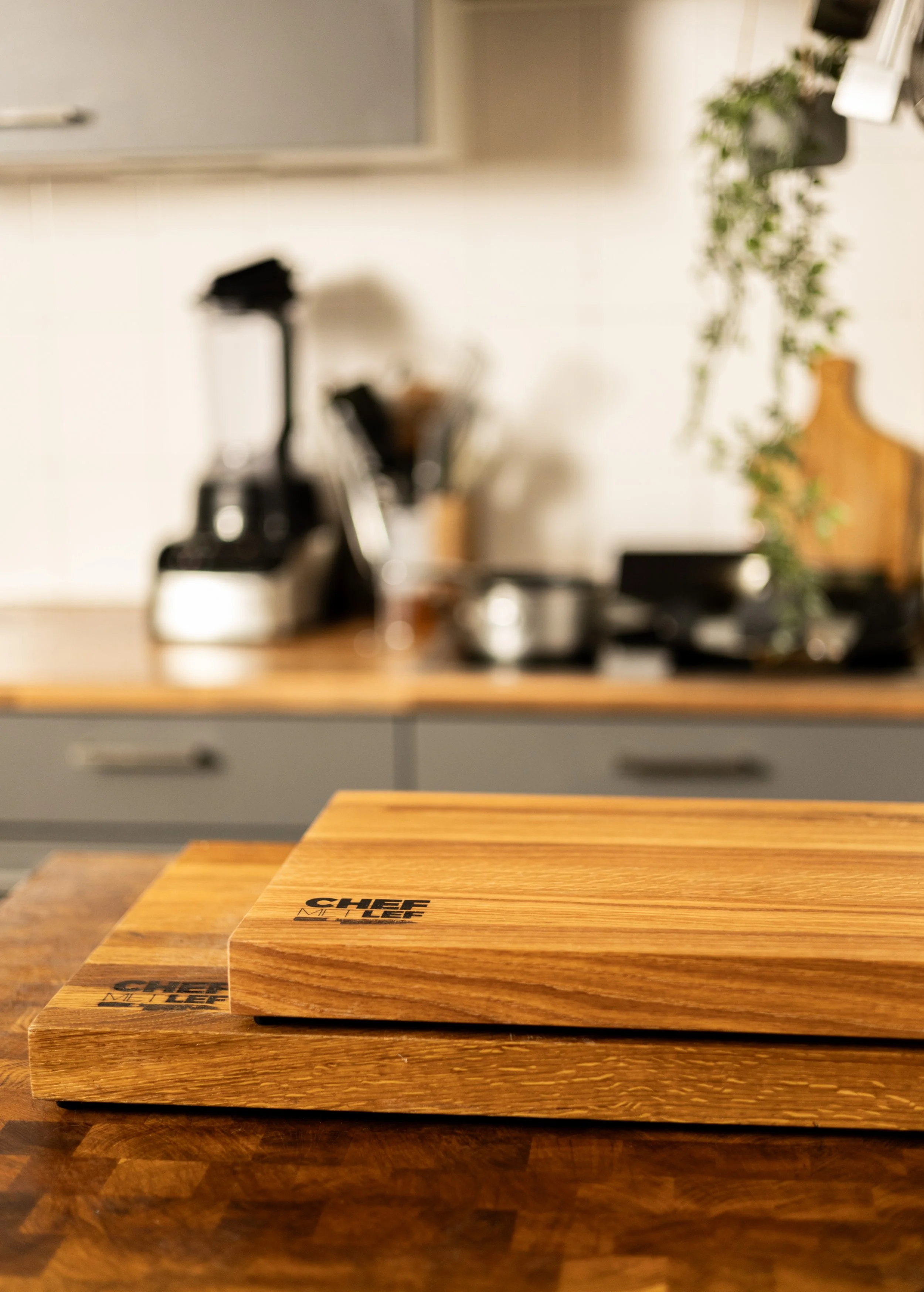 MO5A6386.jpg