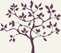 PSR’s Logo