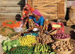 There is more food where there was little food. Photo: UNDP