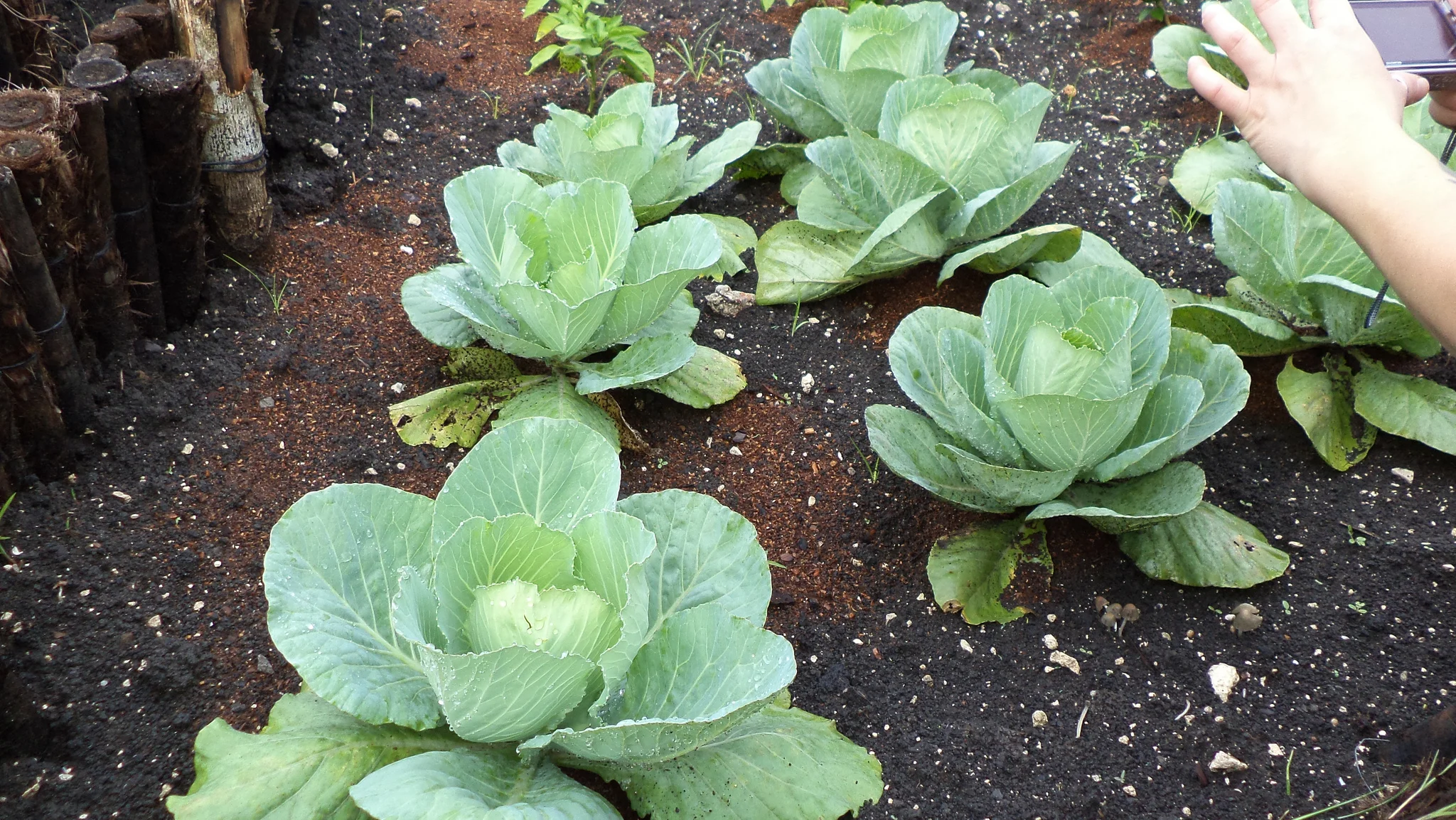 Farm the Land, Grow the Spirit