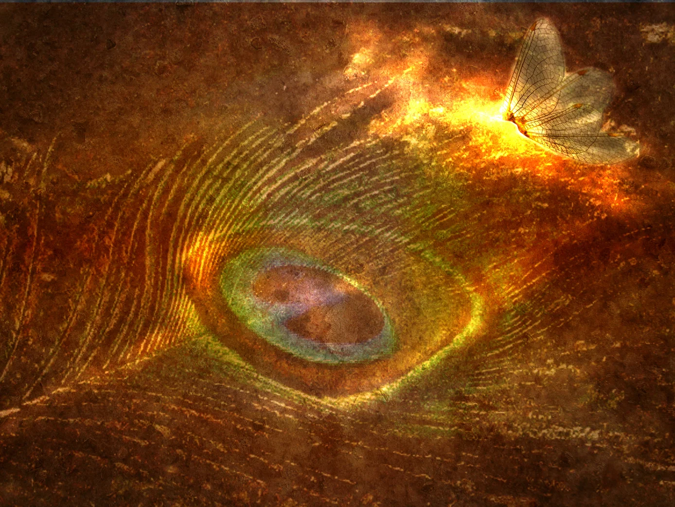 Koans, Parables, and the Realm of God
