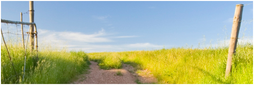 This image has been used to evoke the work of Young Spirit Foundation, founded by Theodore Timpson, who serves as president. – Photo: Linked In