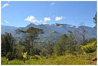 The highlands of Papua New Guinea – Photo: Wikipdia