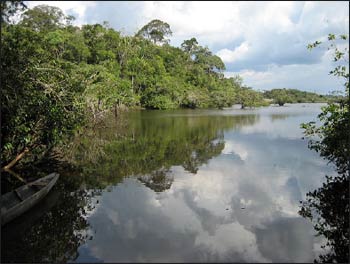 An image of the Ecuadoran Amazon – Photo: Wikimedia Commons