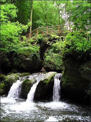 Photo: Wikimedia
