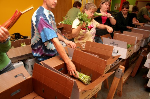 The Collaborative uses “Congregation” rather than “Community” supported agriculture to generate boxes of produce for purchase and provision to low-income members. – Photo: Sandor Weisz