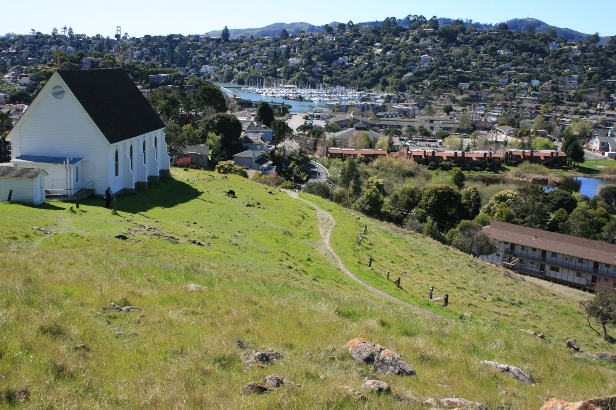 The Interfaith Sustainable Food Collaborative’s efforts are supporting sustainable food while mobilizing congregations to help provide food for low-income families and food pantries in Somona and Marin counties. – Photo: Colleen Proppe