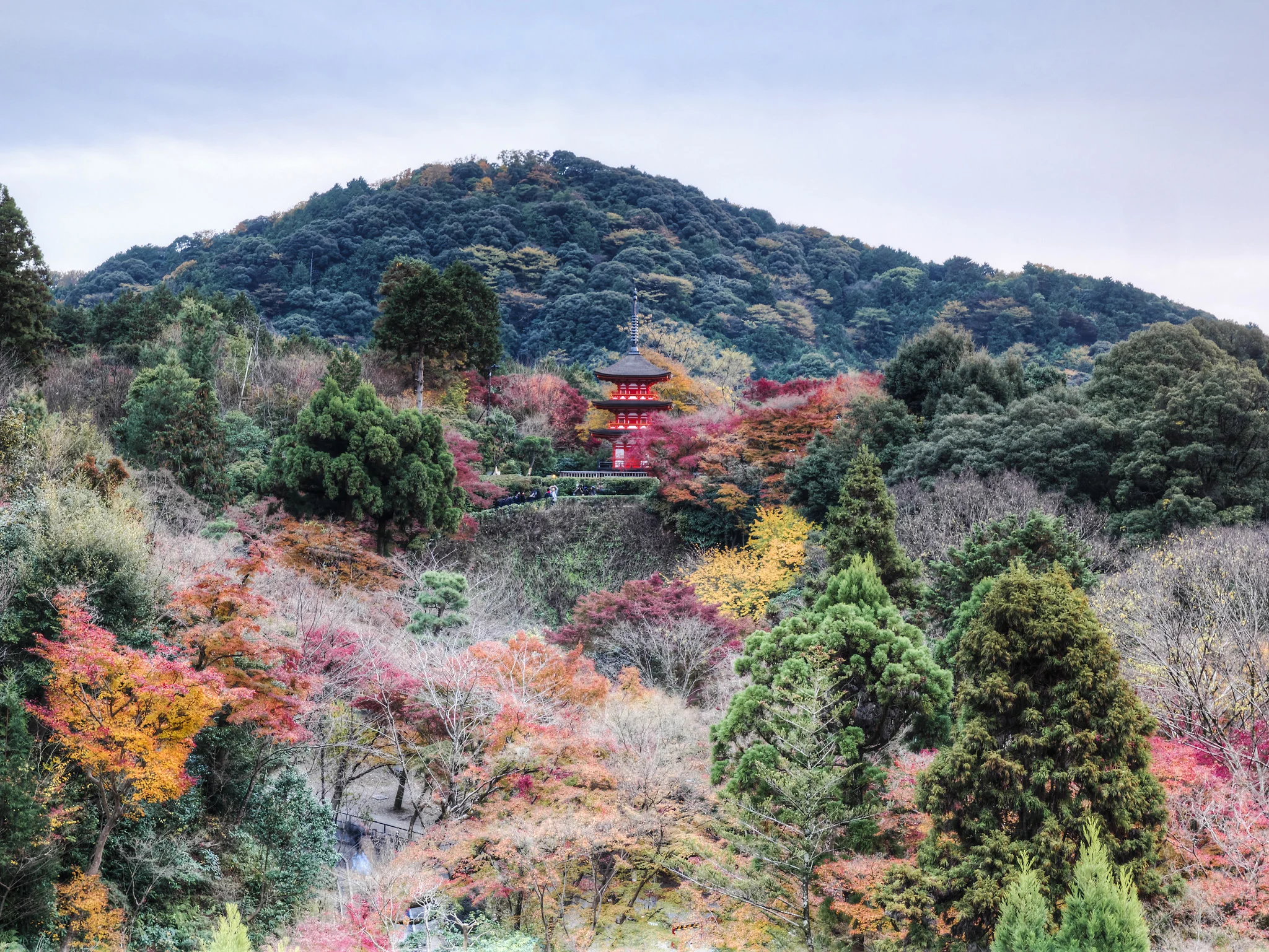 Eco-Dharma: Awakening to the Environmental Crisis