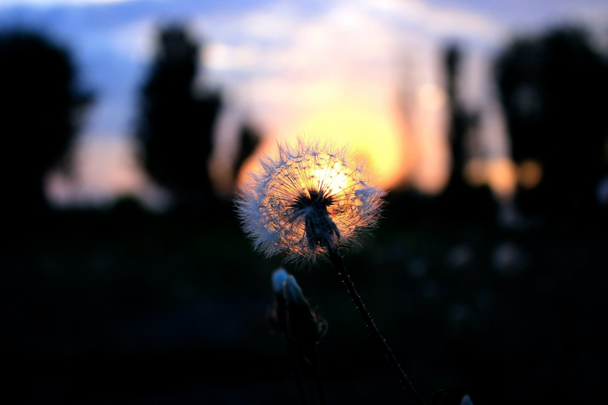 Embracing the "Full Catastrophe"