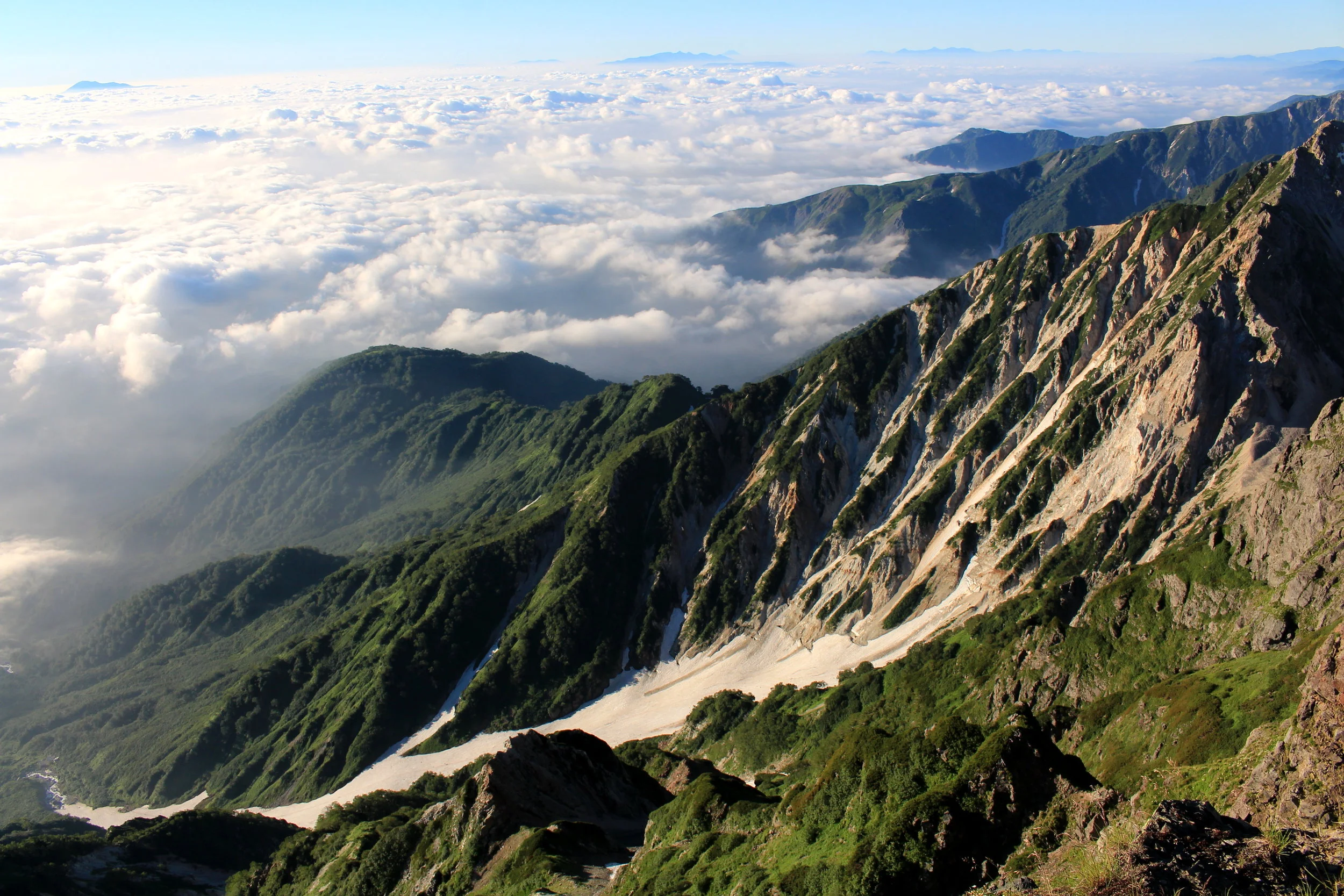 The Wholeness of Nature