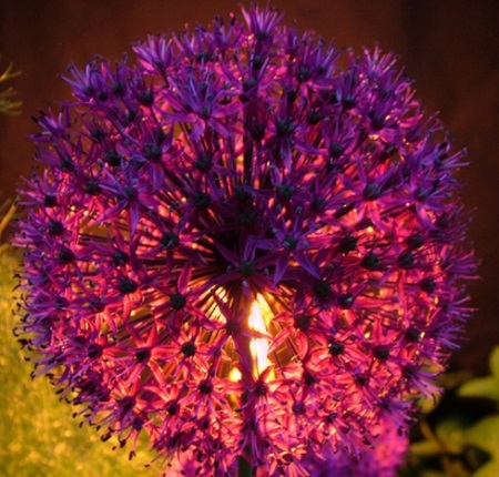 Photo: epicnom, C.c. 2.0 nc