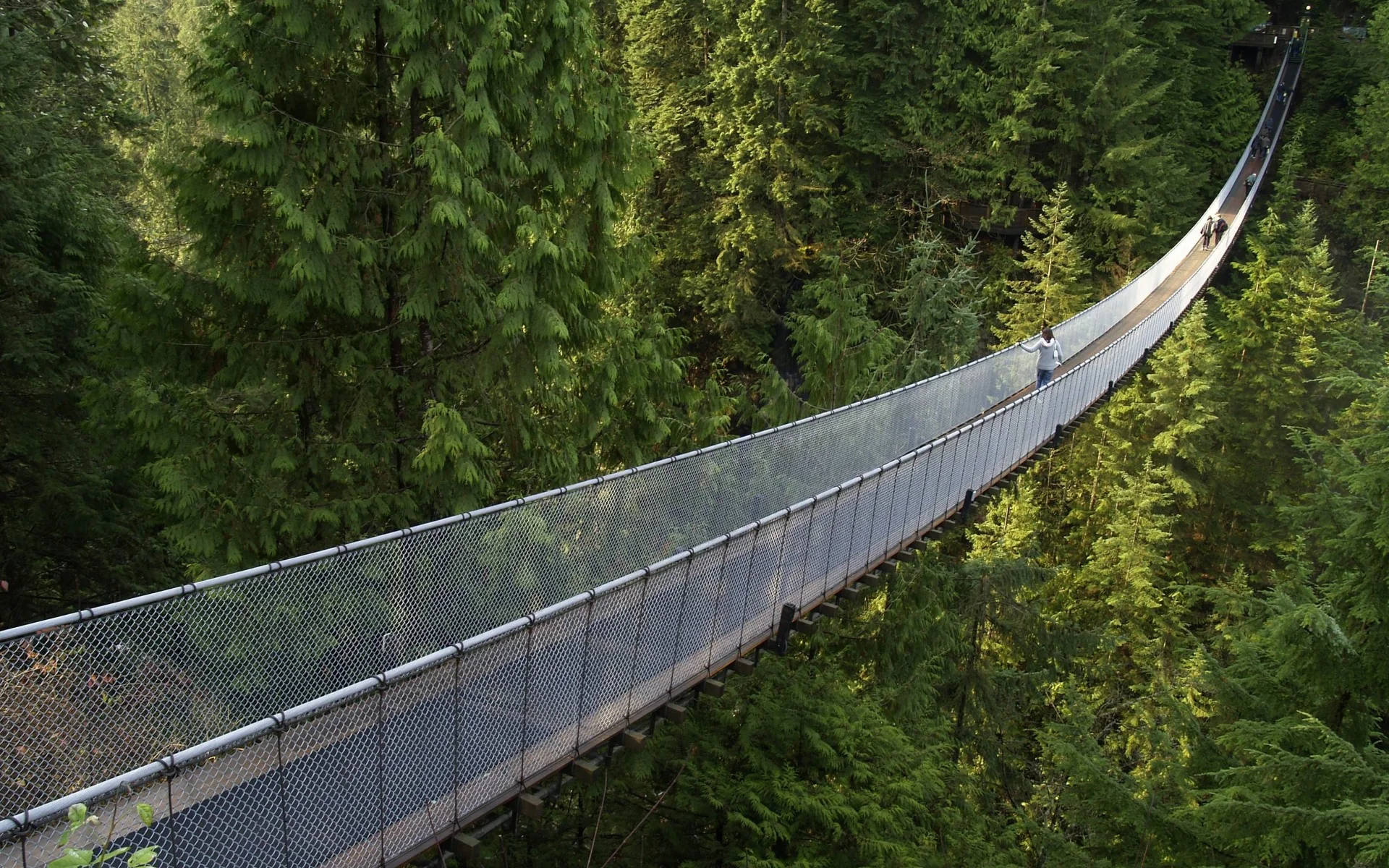 Differences & Disagreements: Crossing the Final Bridge