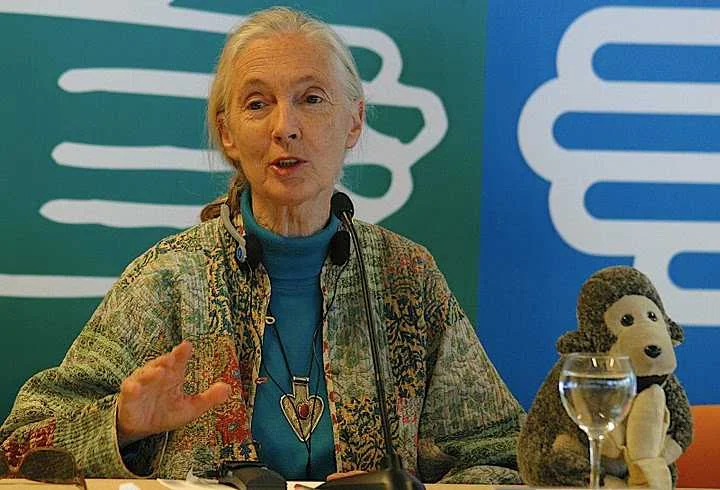 Jane Goodall – Photo: RBS