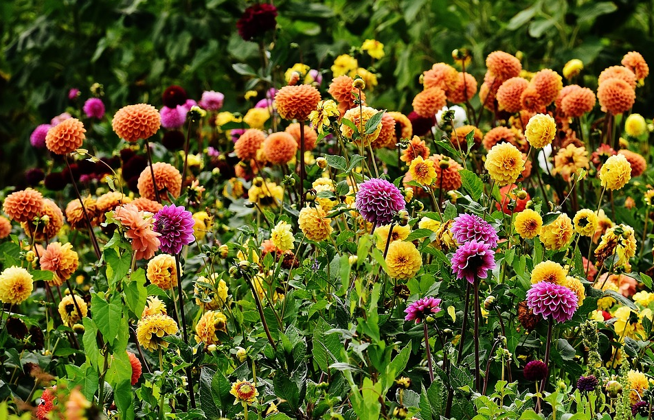 Parliament Planning for Kids and Children This Time