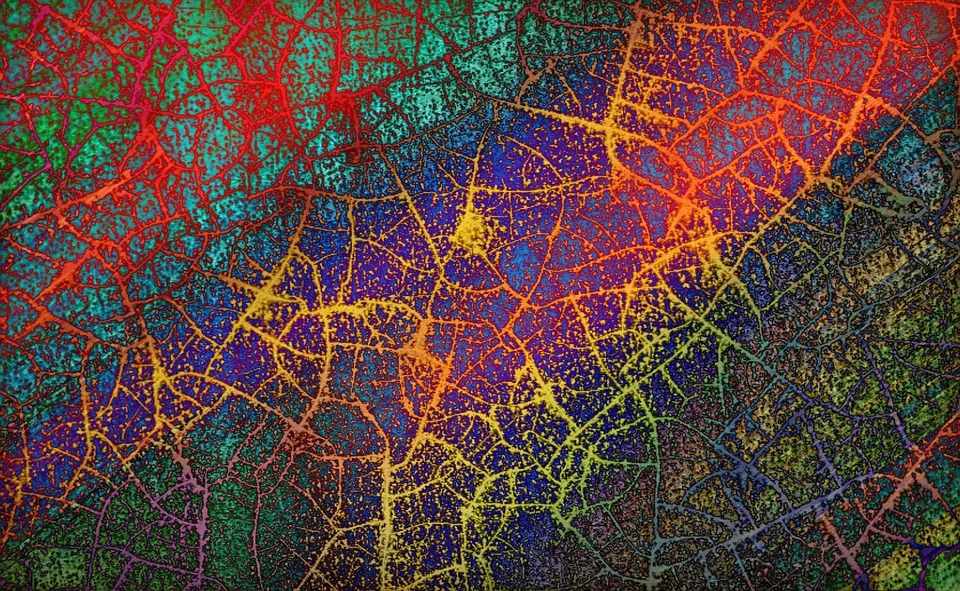 Spirituality, Creativity, and Community
