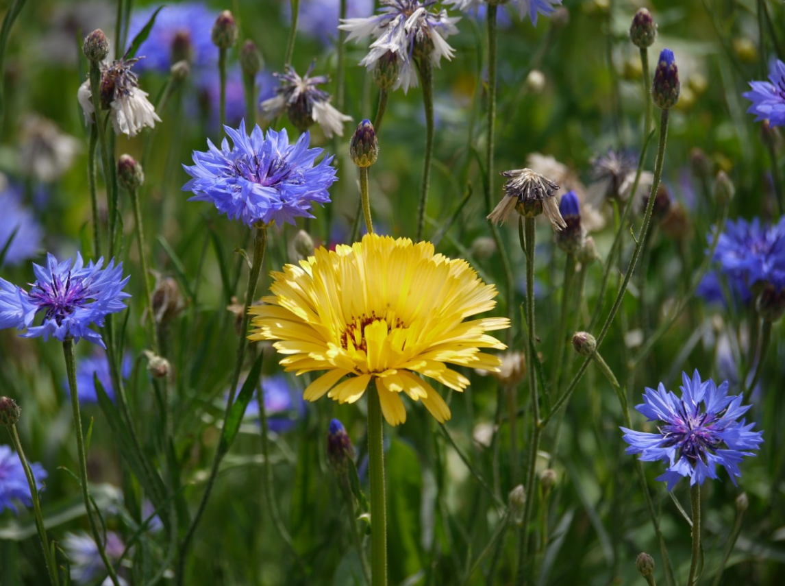 What Makes URI Unique?