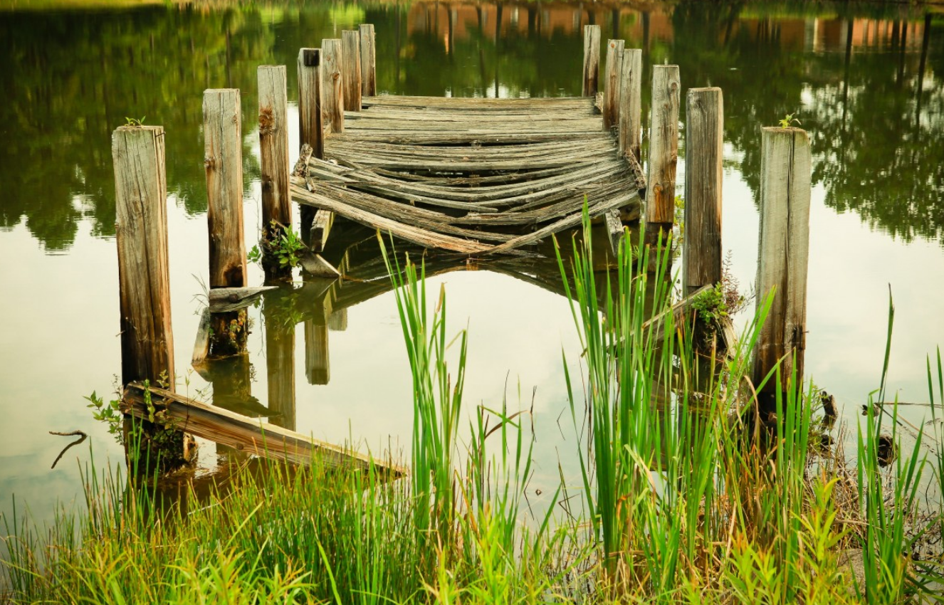 Disaster and the Task Ahead