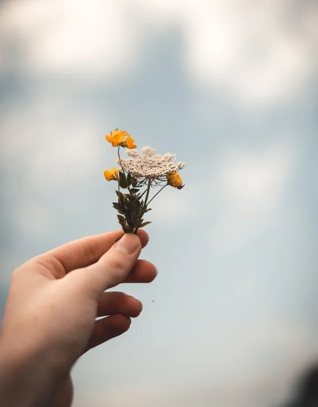 Photo: Unsplash
