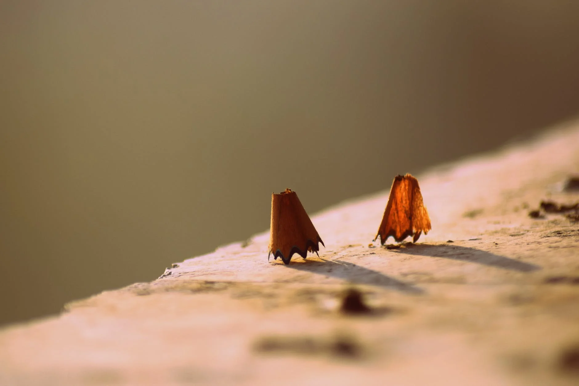 Mastering the Delicate Art of Rebuke