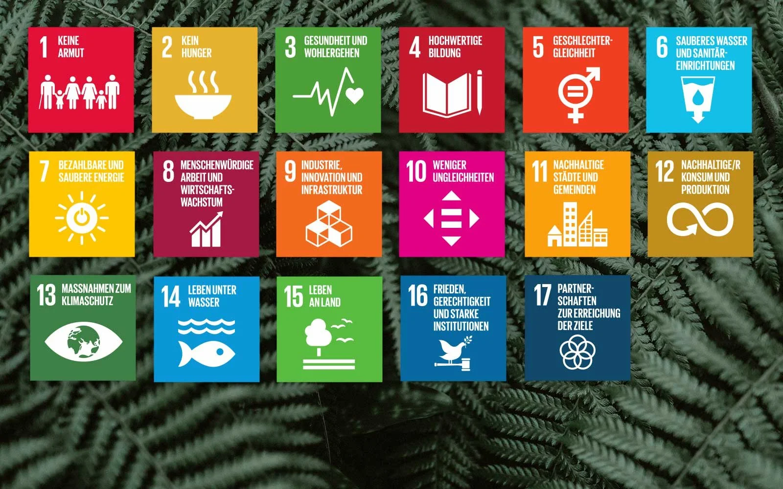 Shifting from ‘Millennium’ to ‘Sustainable’ Development Goals