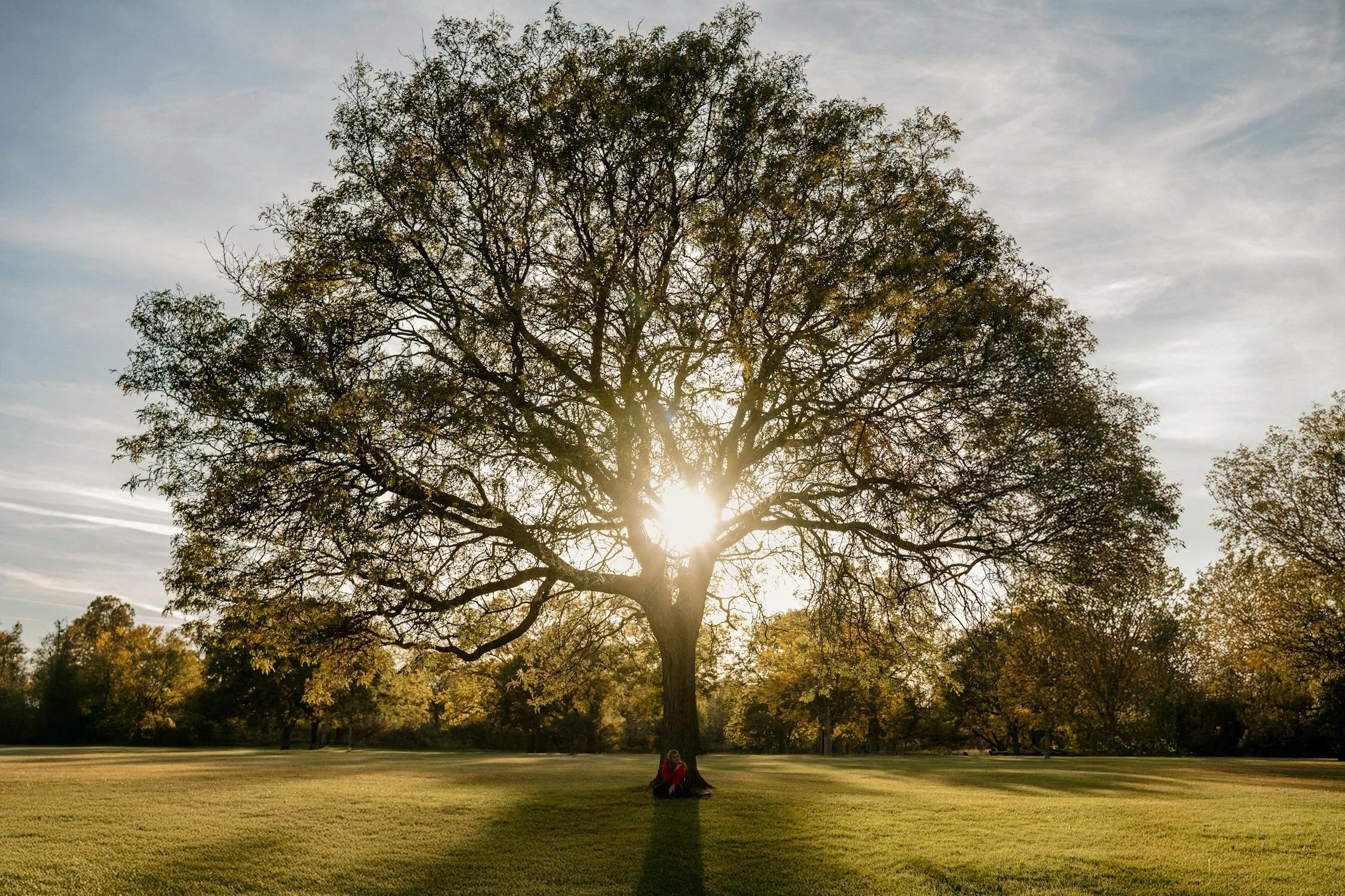 The Love and Light
