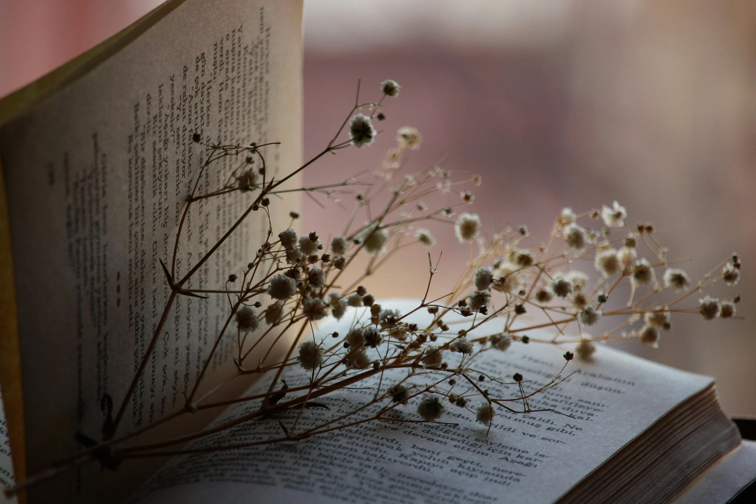Authoring our Shared Story