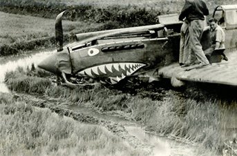 Training flight crash of P40