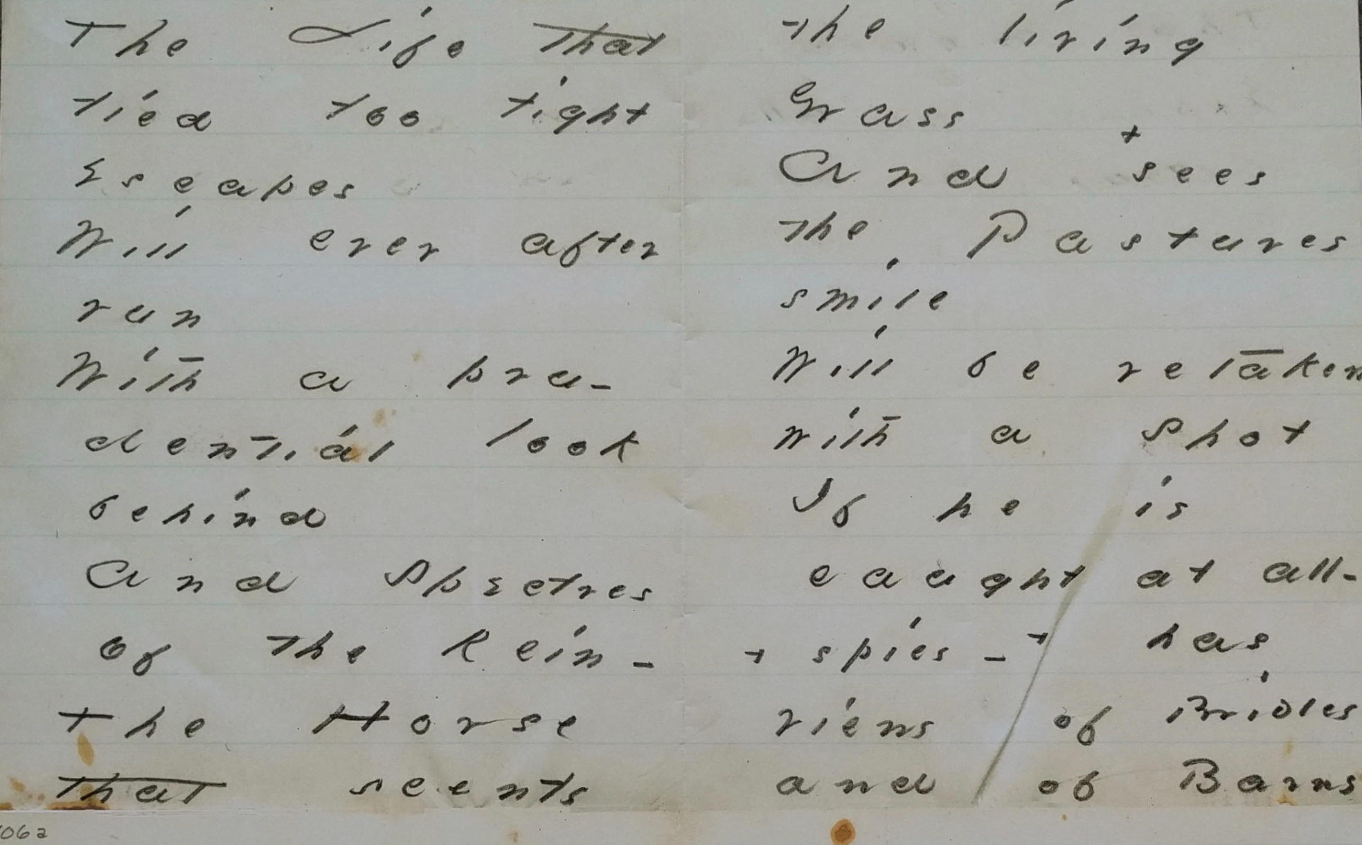 Dickinson handwriting 2-2.jpg