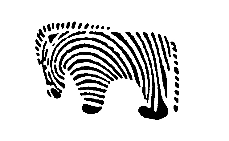 AMAMPONDO-ZEBRAzebra-bit.jpg